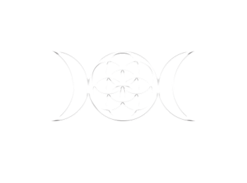 Heated Yoga And Pilates In Sacramento | Doma Studio